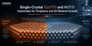Single-Crystal Cu(111) and Ni(111) Substrates for Graphene and 2D Material Growth